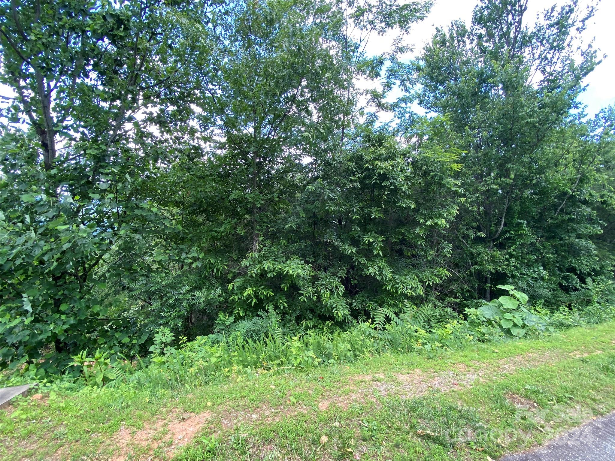 0 Golden Ridge Drive 133