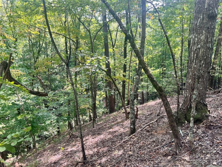 Looking for a beautiful slightly sloped lot to build your dream home on in Lake Lure? Look no further! This .73 acre lot is located on a quiet cul-de-sac with access to all of the Rumbling Bald amenities! Two golf courses, three swimming pools, tennis courts, mini golf, Wellness Center, beach, marina, and three restaurants!