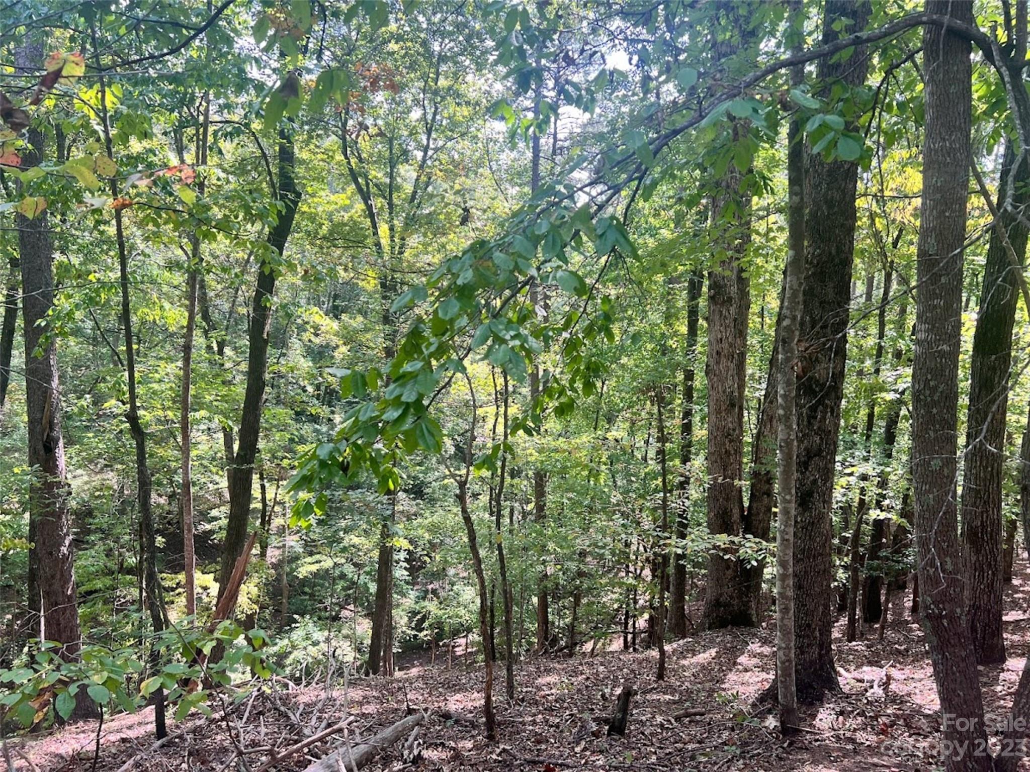 Rumbling Bald on Lake Lure - Land
