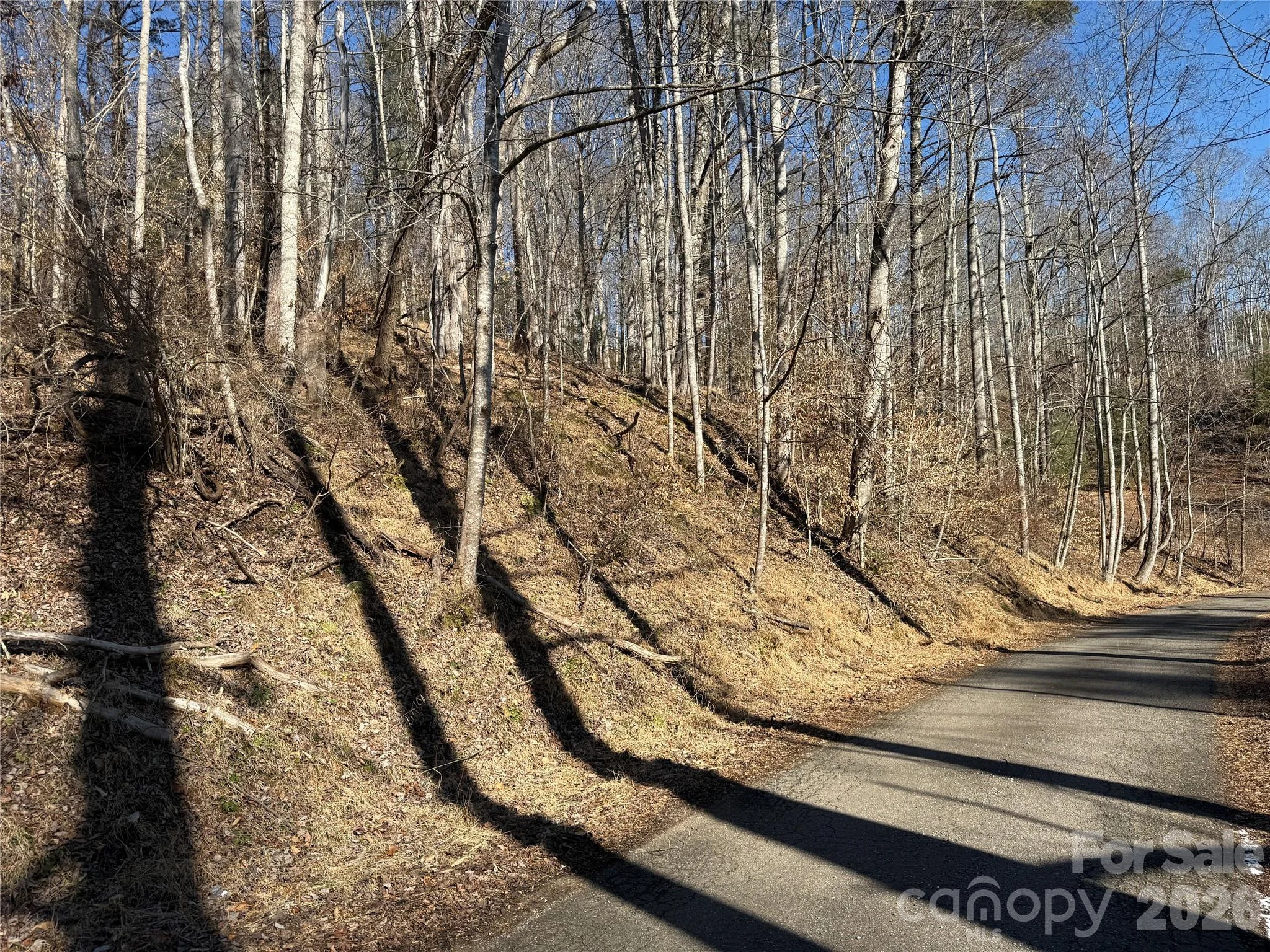 999 Echo Hill Drive Unit 4, Green Mountain, NC, 28740