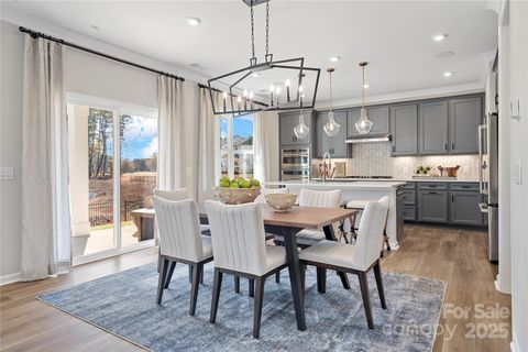 Photo of 4119 Roe Creek Drive, Mint Hill, NC 28227 (MLS # 4306933)