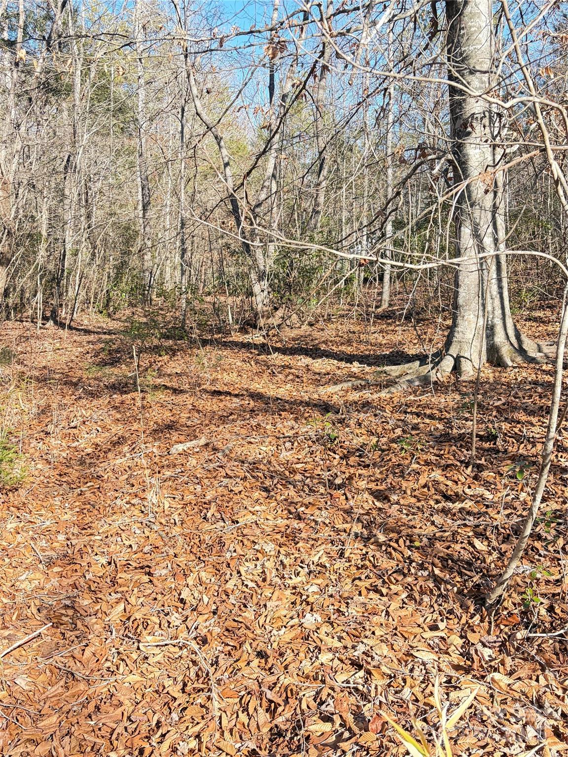 Lot 49 Harmony Grove Road 49