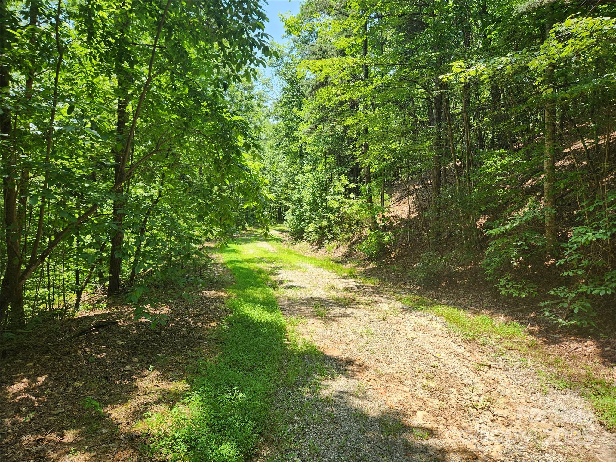 Rumbling Bald on Lake Lure - Land