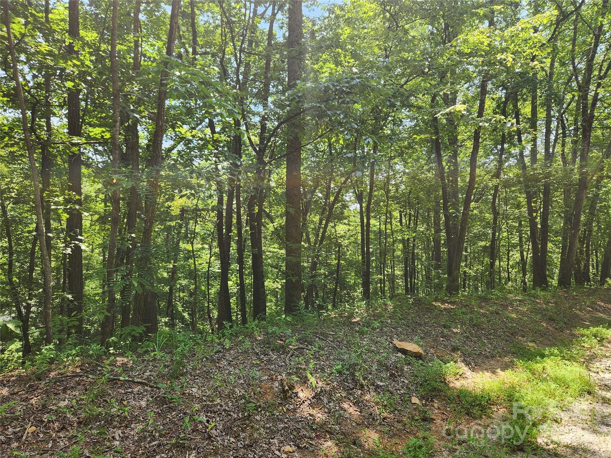 Rumbling Bald on Lake Lure - Land
