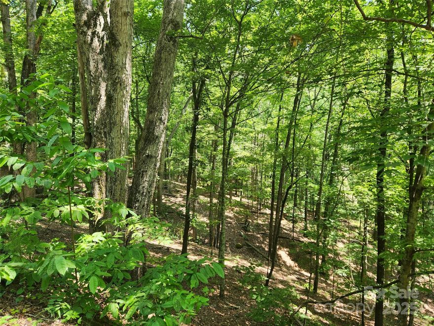 Estate size lot in Rumbling Bald on Lake Lure.  This lot offers privacy on a cul-de-sac with a sloping topography that may offer potential for a daylight basement.  Winter views.  Peaceful and private.  Enjoy amenities like the private beach, Wellness Center, two championship golf courses, and a variety of activities year-round at our restaurants and other venues. The approximate 1.73 acre parcel consists of three lots (Lot 81, 82, and 88), which are owned by the POA and that will be surveyed as one property at or before closing by the seller.  Parcel has access to high-speed fiber optic internet and underground utilities.