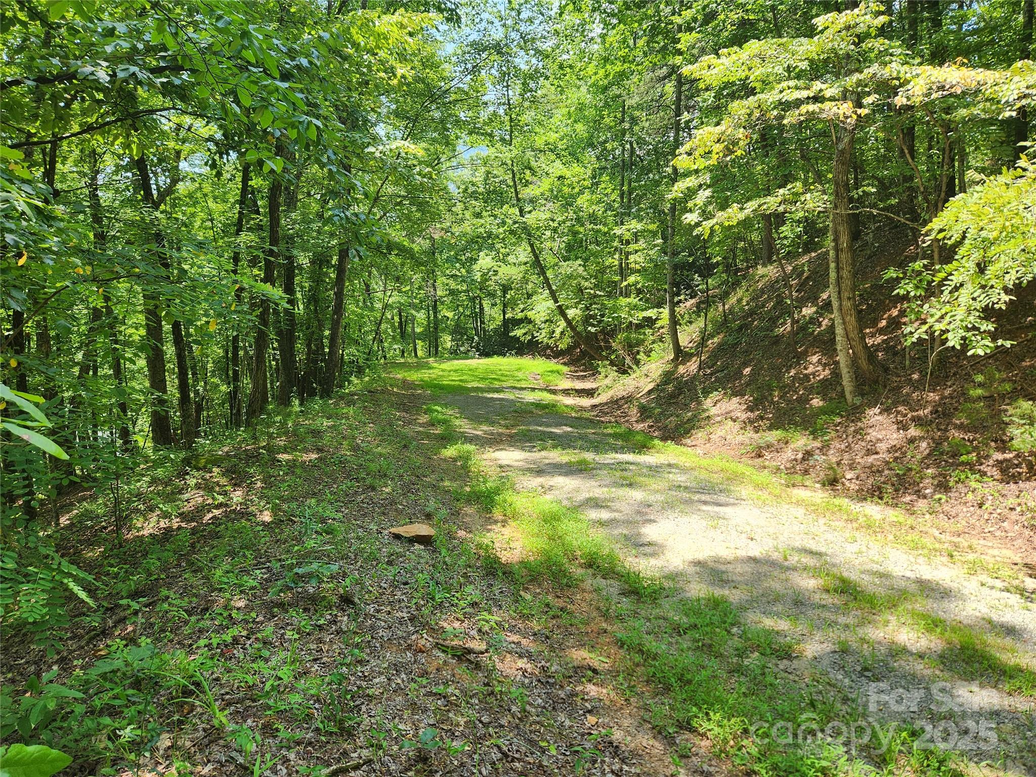 Lot 81, 82, & 88 Walnut Lane