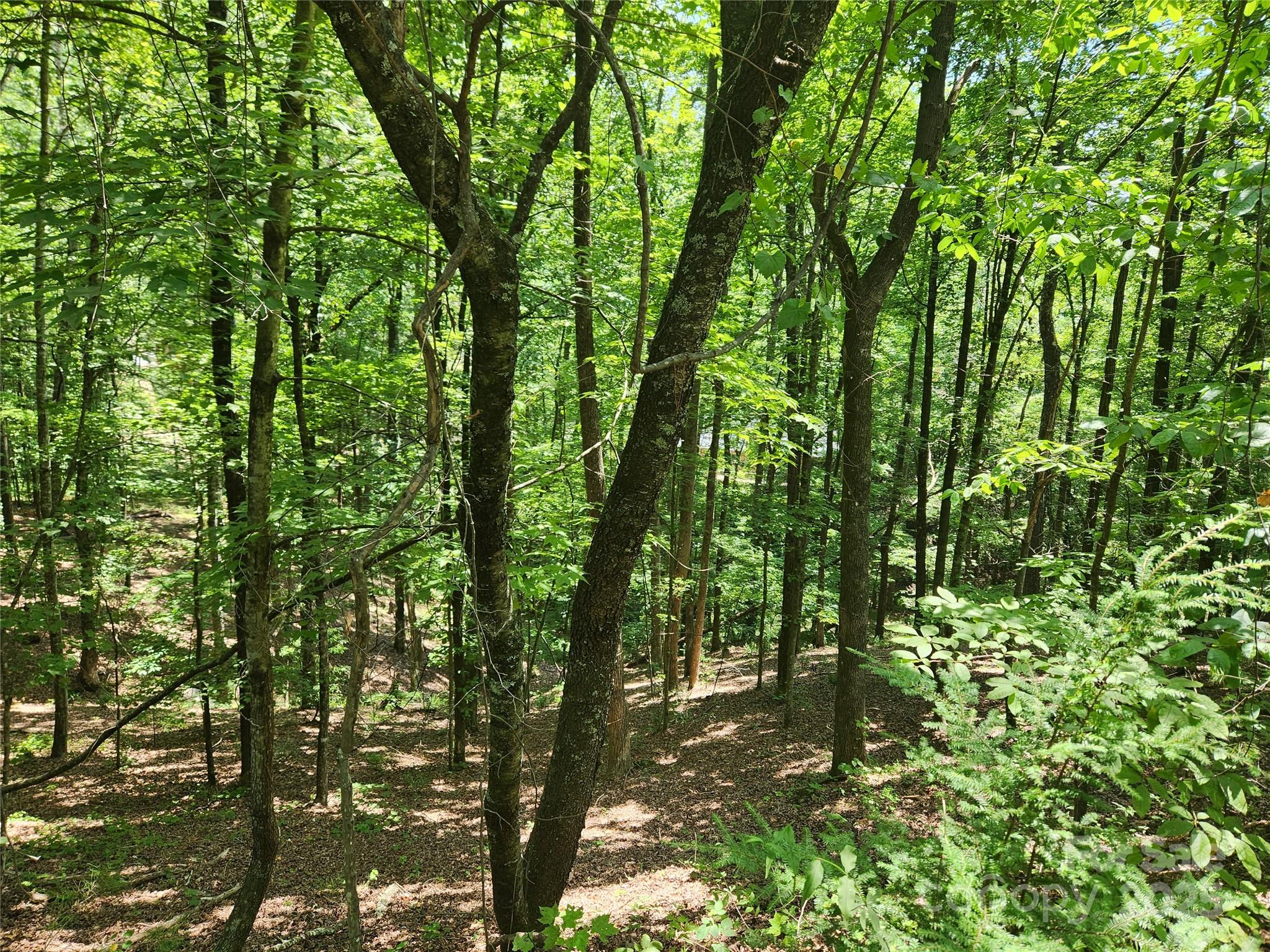 Lot 81, 82, & 88 Walnut Lane