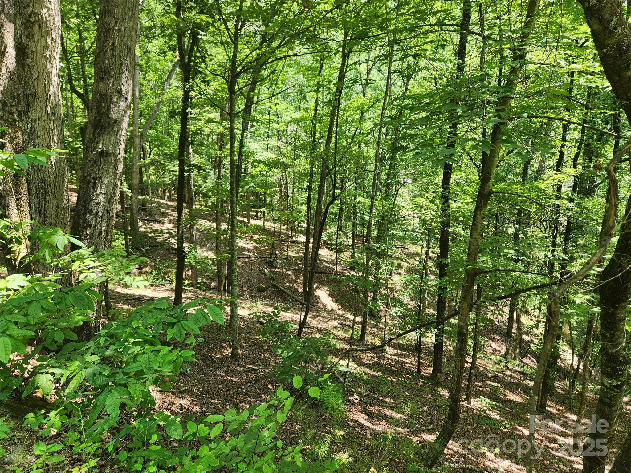 Lot 81, 82, & 88 Walnut Lane