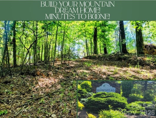 TBD LUCKY LEAF LANE, VILAS, NC 28692 - Image 844b3e7fc70ae07bb7e0cb6ca89ef368/3502552463