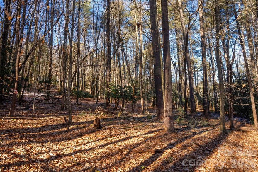 Discover the perfect opportunity to build your dream home in the highly sought-after Deerlake Village community. One of few lots left, the former owner has already completed much of the groundwork, including a site plan and house plans, both of which are available to the buyer. This gently sloping lot extends to a picturesque creek and old bridge, providing direct access to the community’s trail system and conserved open land. Pink survey tape clearly marks the property boundaries, and many trees have been identified with white tape on a topo survey. Deerlake Village is known for its rich history and strong sense of community—additional details can be found at www.deerlakevillage.org. Amenities include a lovely clubhouse, outdoor pool, picnic area and a picturesque lake.