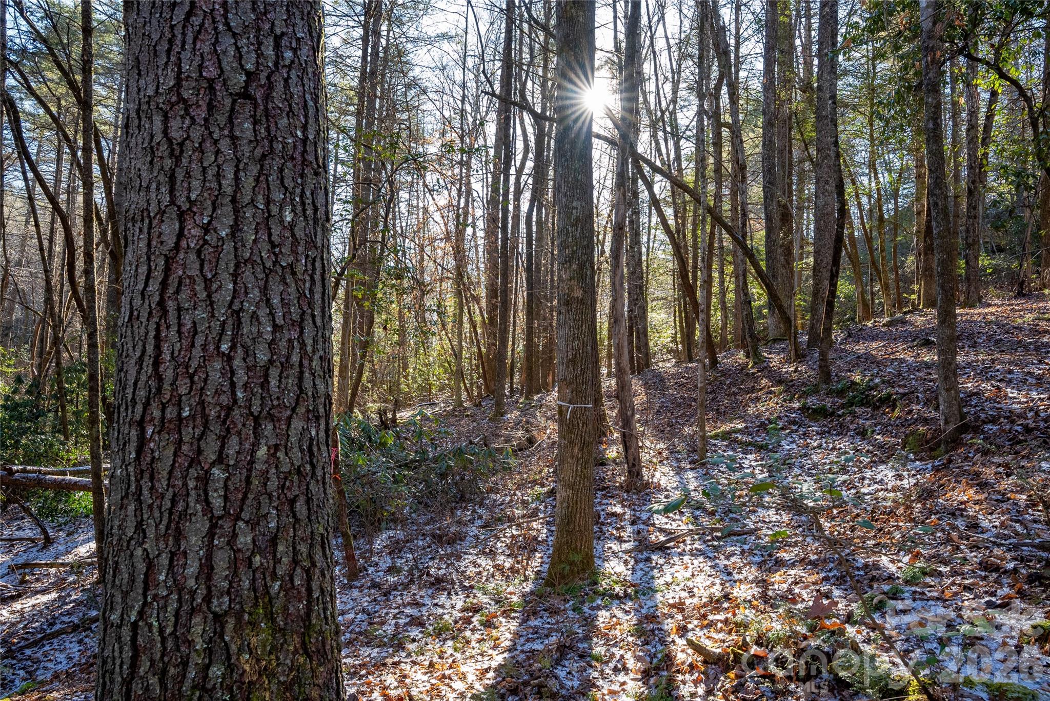 L11 Deerlake Road 11