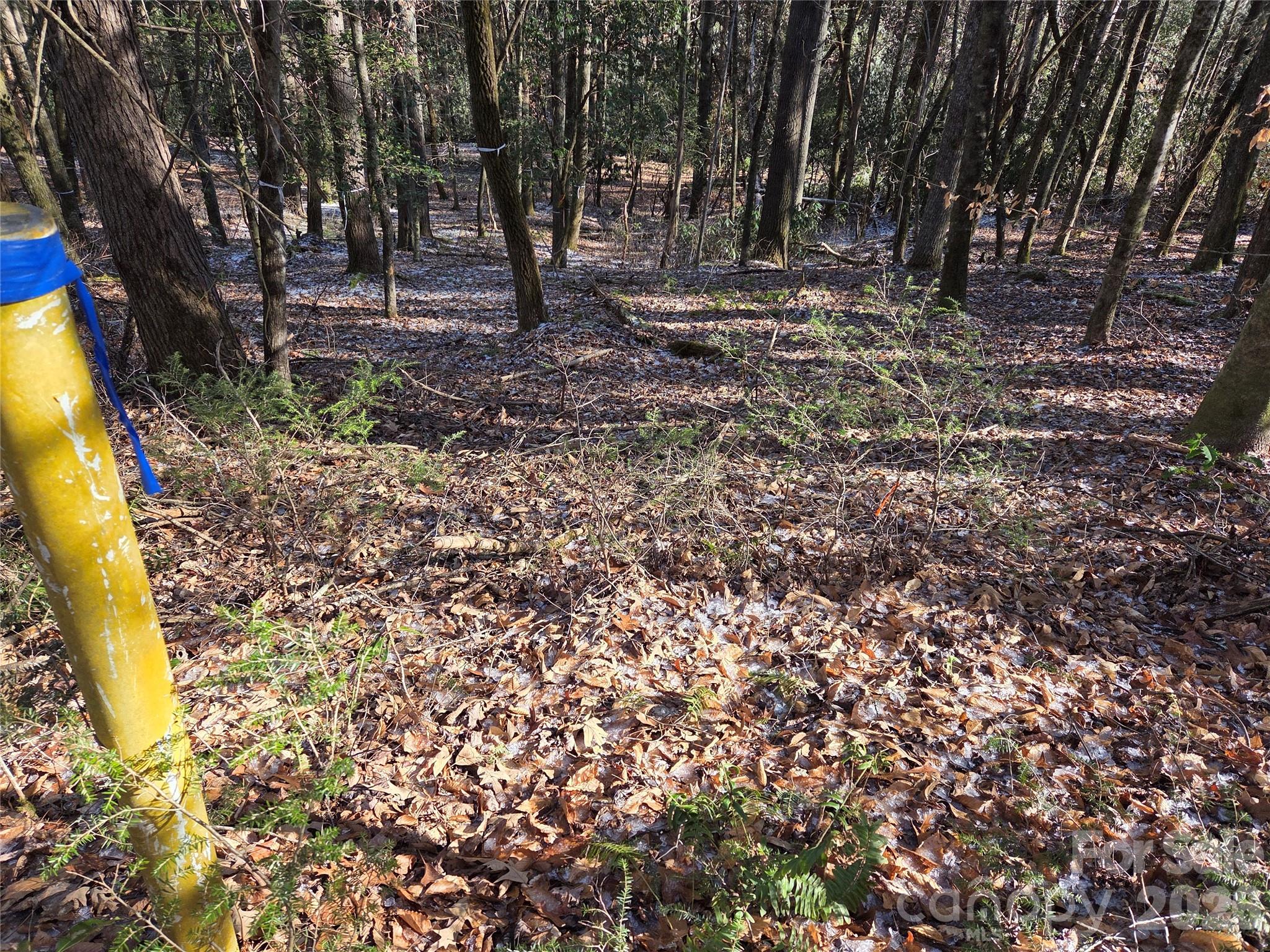 Deerlake Village - Land