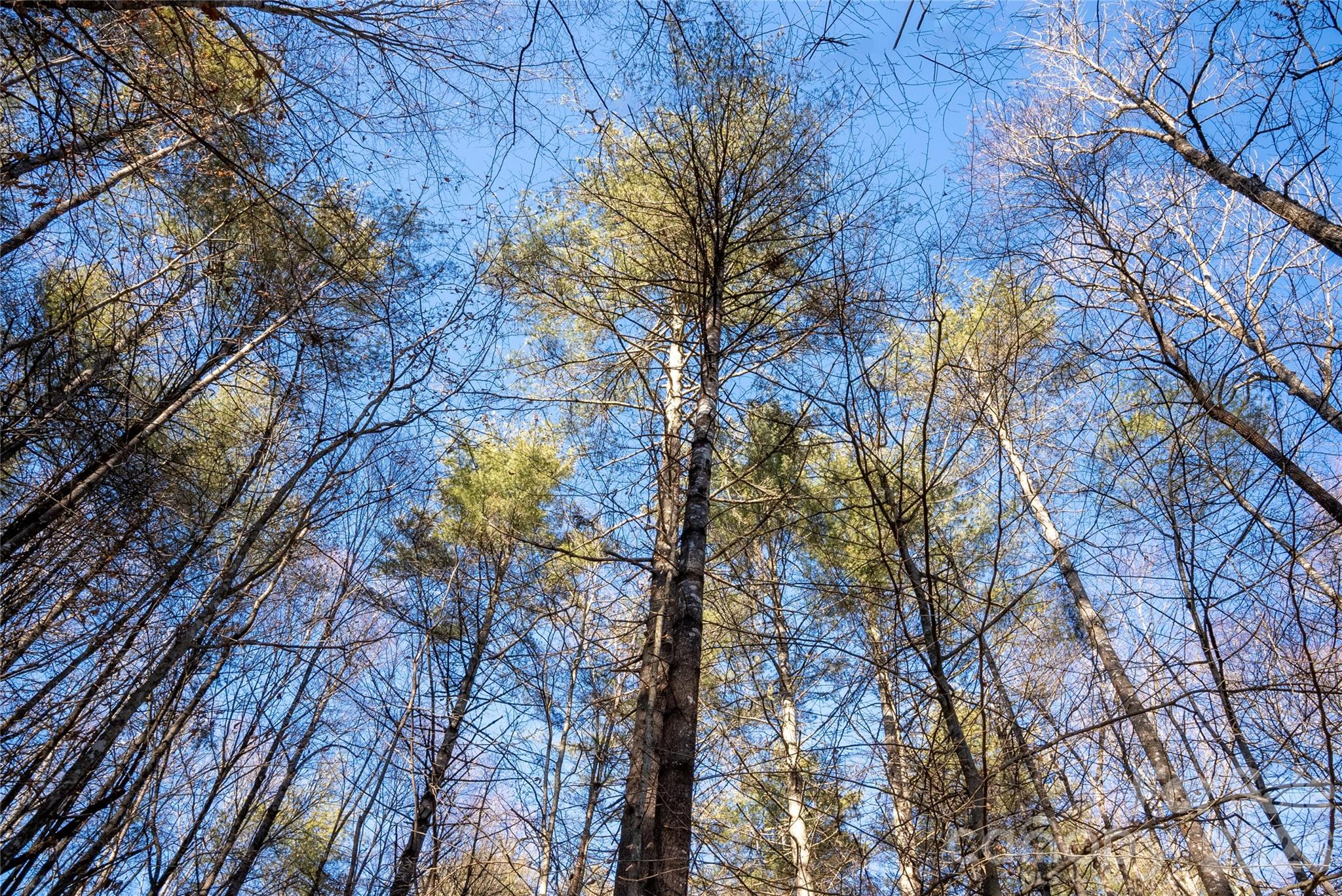 L11 Deerlake Road 11