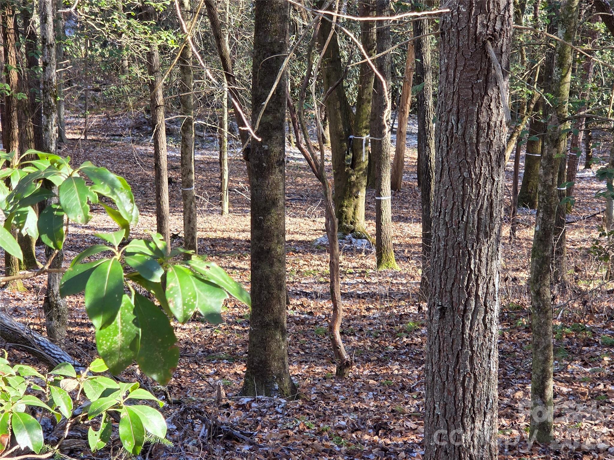 L11 Deerlake Road 11