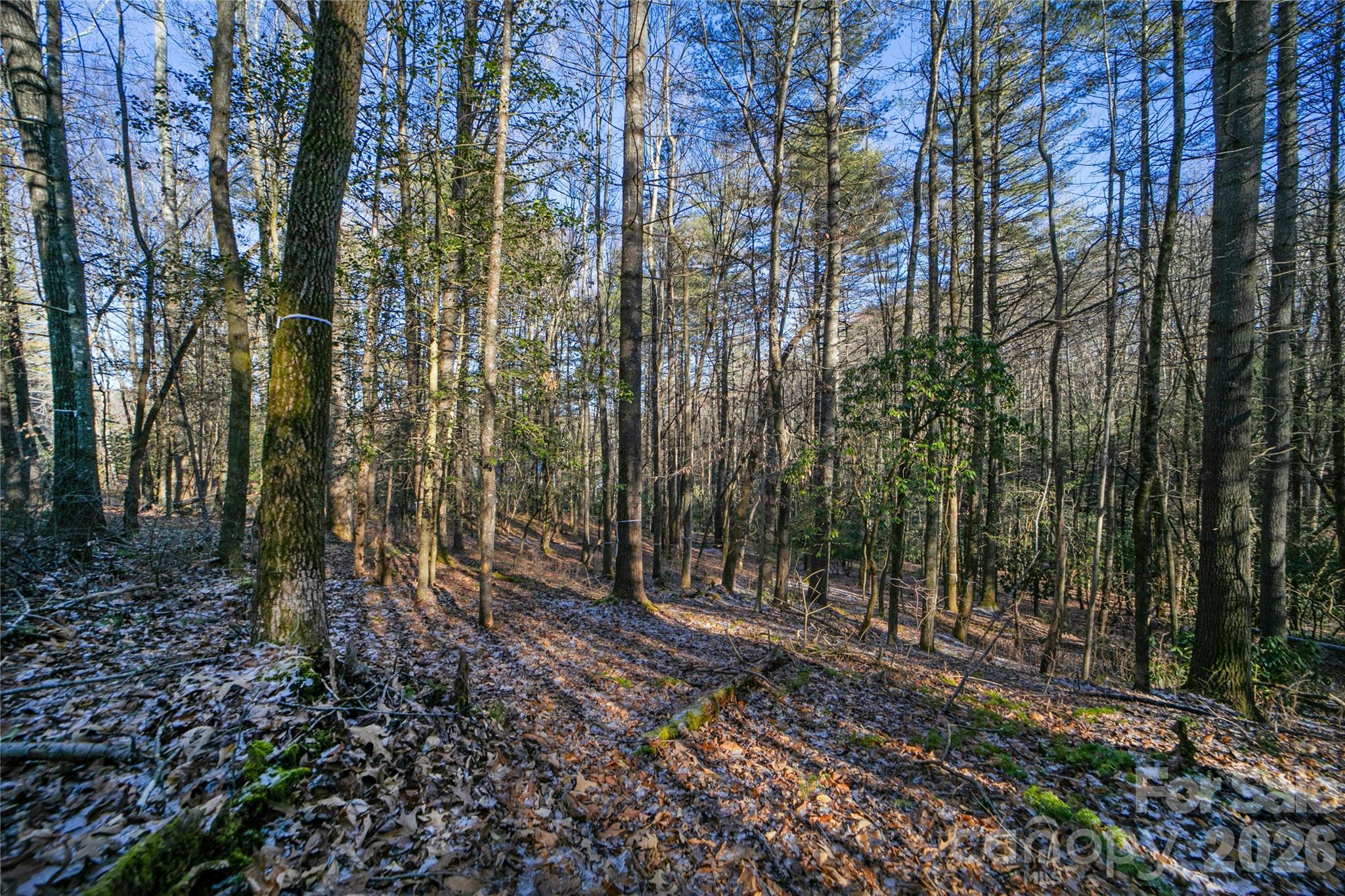 L11 Deerlake Road 11