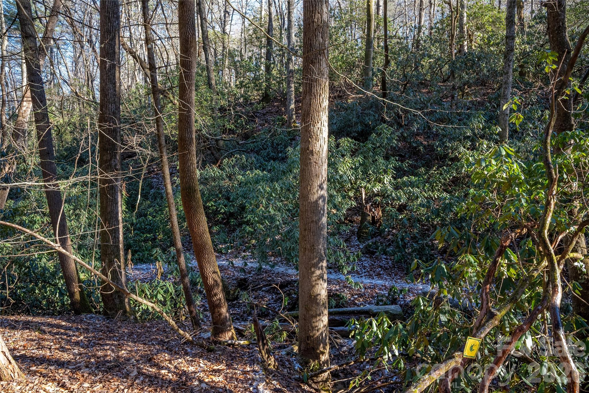 Deerlake Village - Land