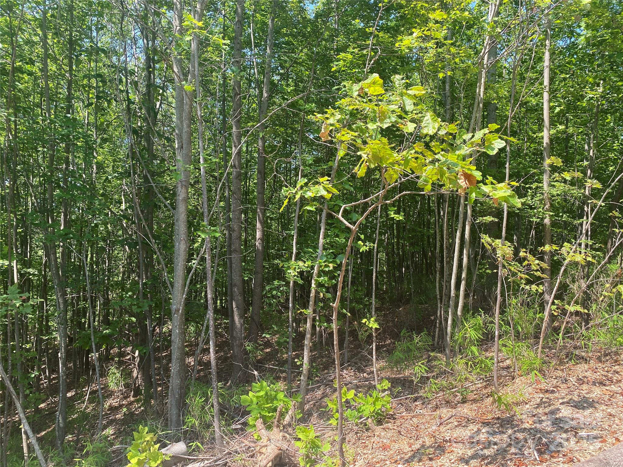 Lot 244 Scenic View Drive