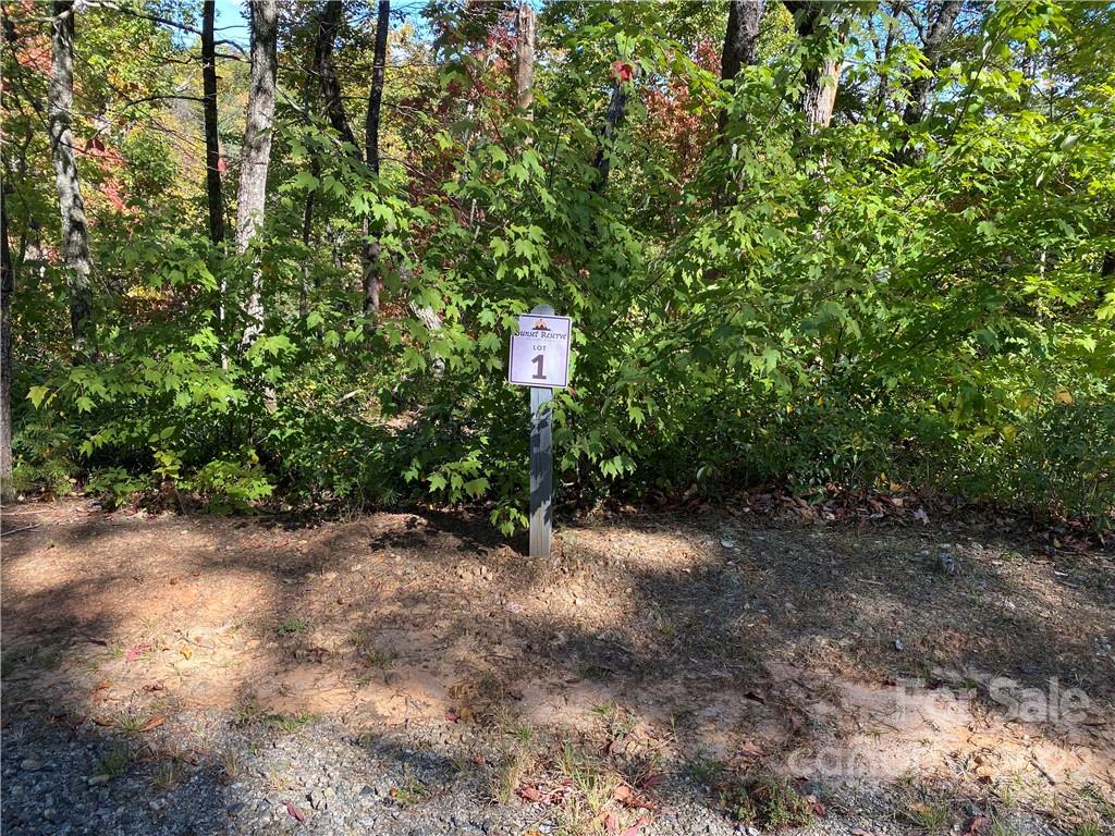 Lt 1 Lure Ridge Drive 1