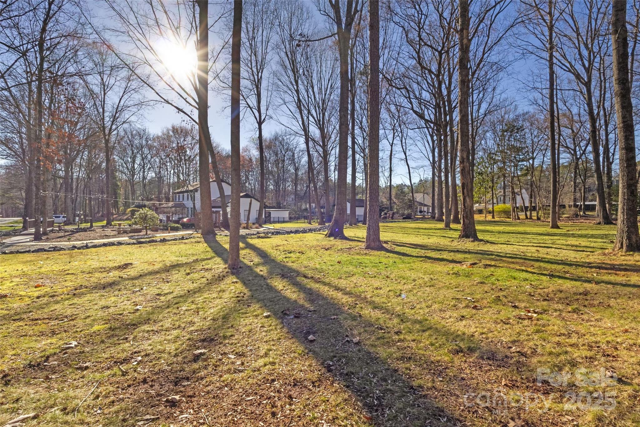 Chestnut Hill - Residential
