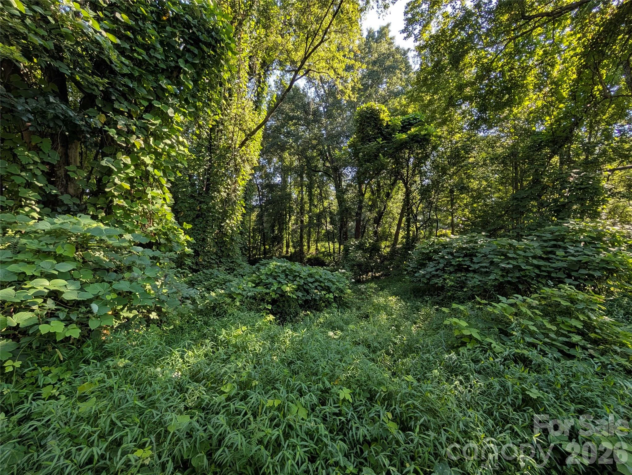 1406 Dillard Lane SW, Lenoir, NC, 28645