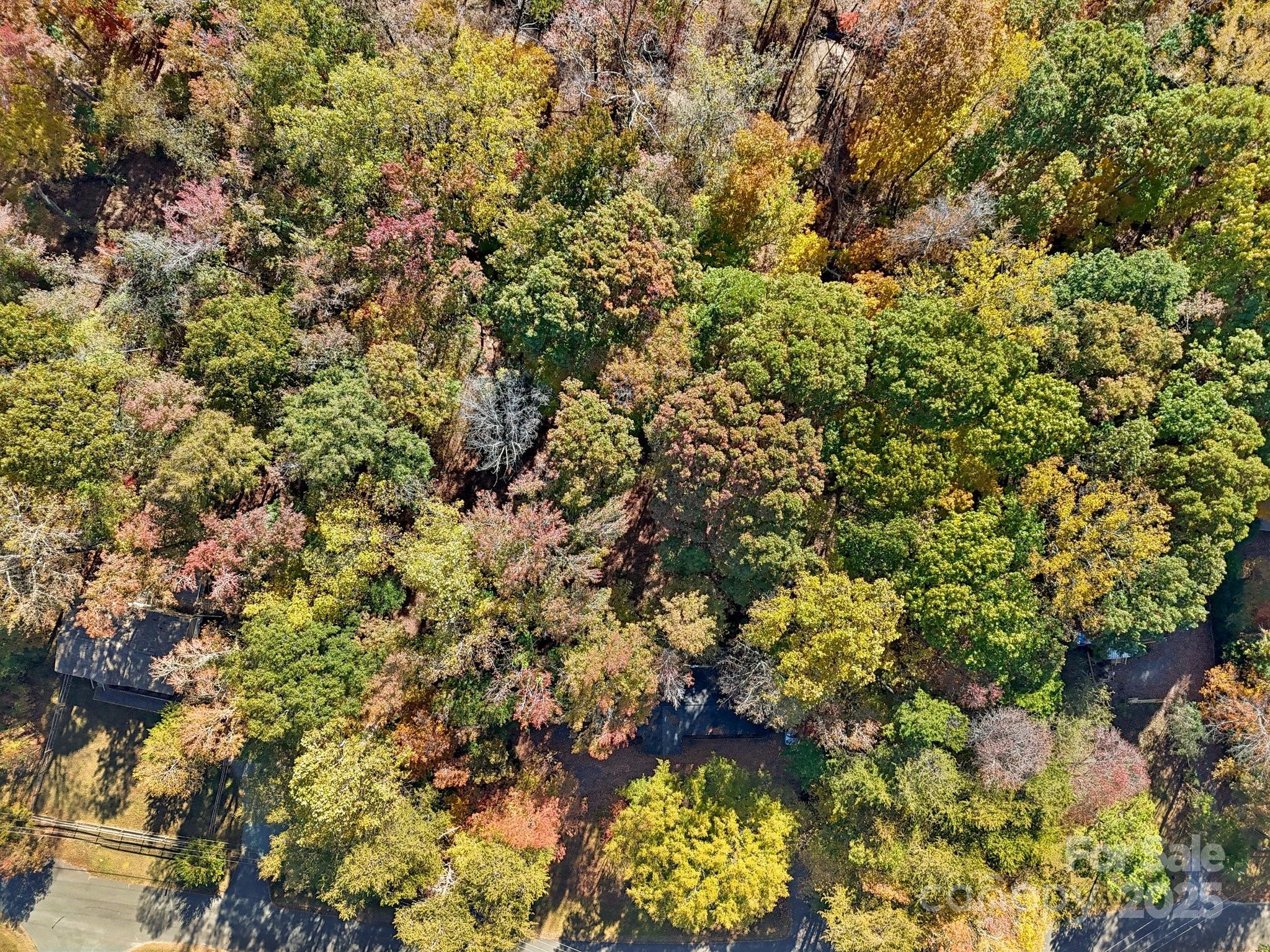 Torrence Branch Estates - Residential