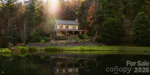 111 Fiddlehead Lane Zirconia NC 28790