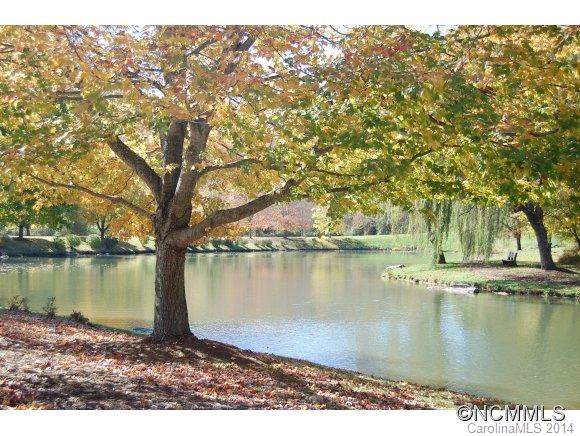 The Village At Averys Creek - Residential