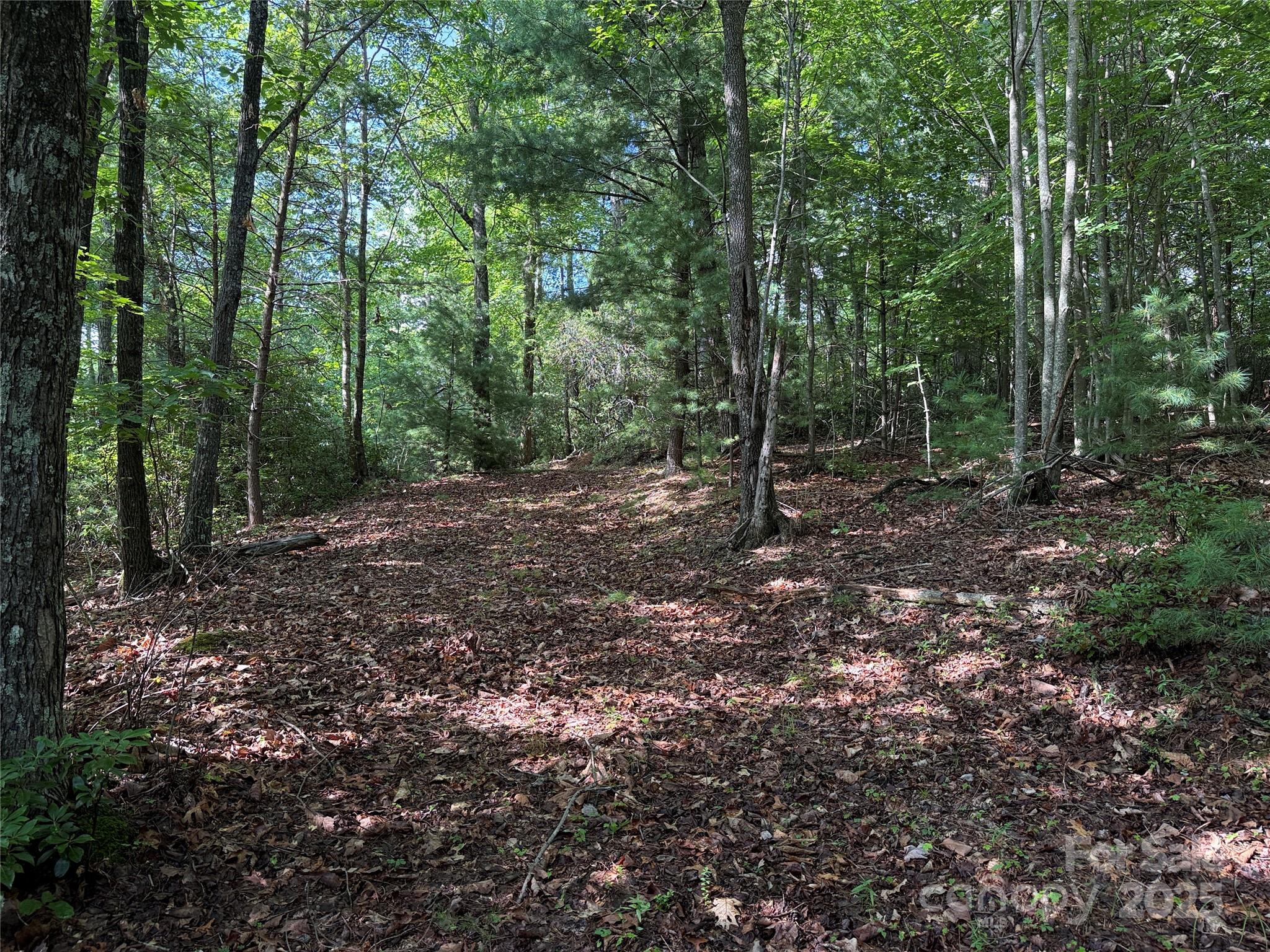 TBD Deer Run Road 231
