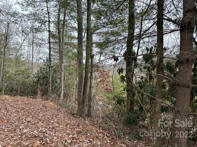 0000 Silverglen Way 53