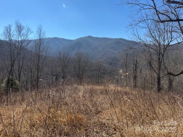 TBD Rickman Ridge