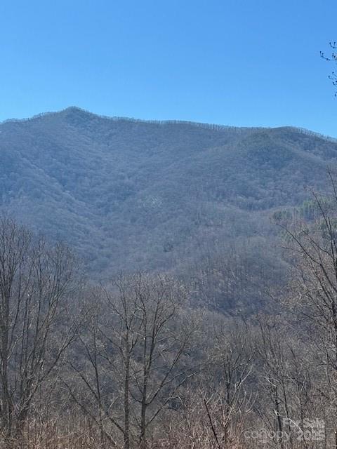 TBD Rickman Ridge