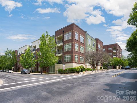 5 Farleigh Street 206 Asheville NC 28803