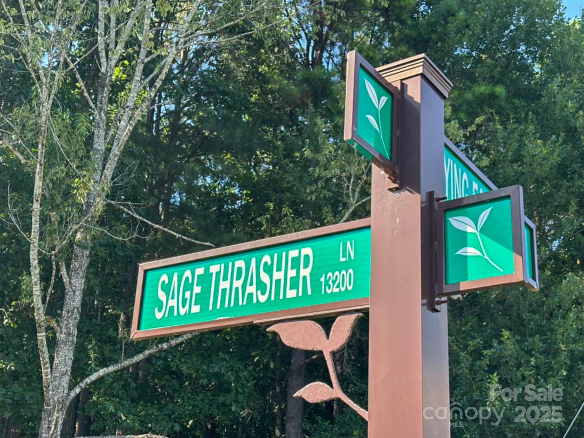 13328 Sage Thrasher Lane