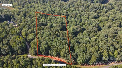 Photo of 13328 Sage Thrasher Lane, Charlotte, NC 28278 (MLS # 4269612)