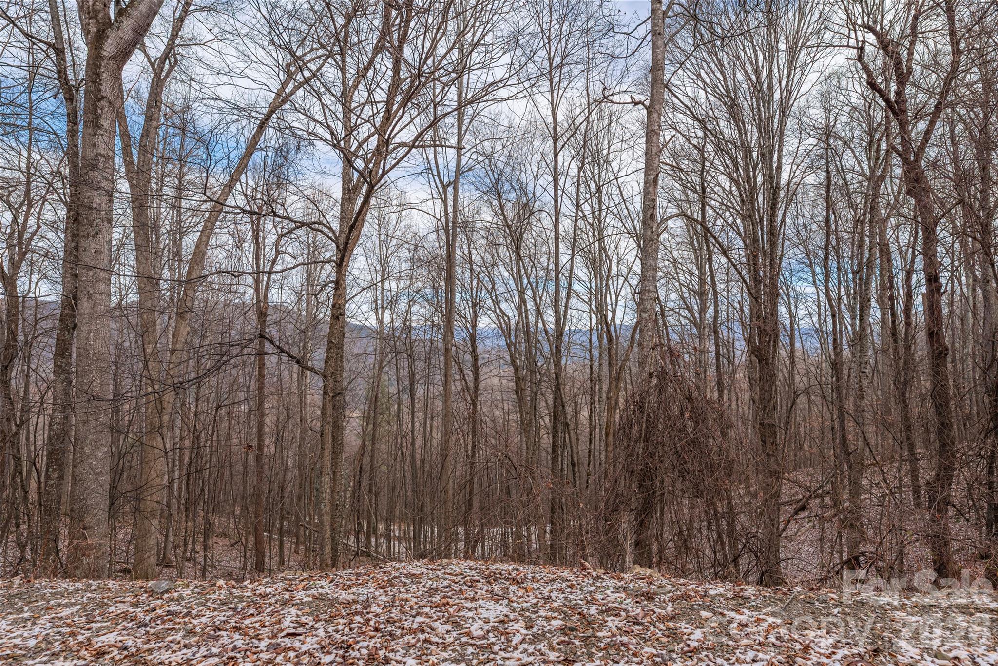 00 Curry Comb Trail 516