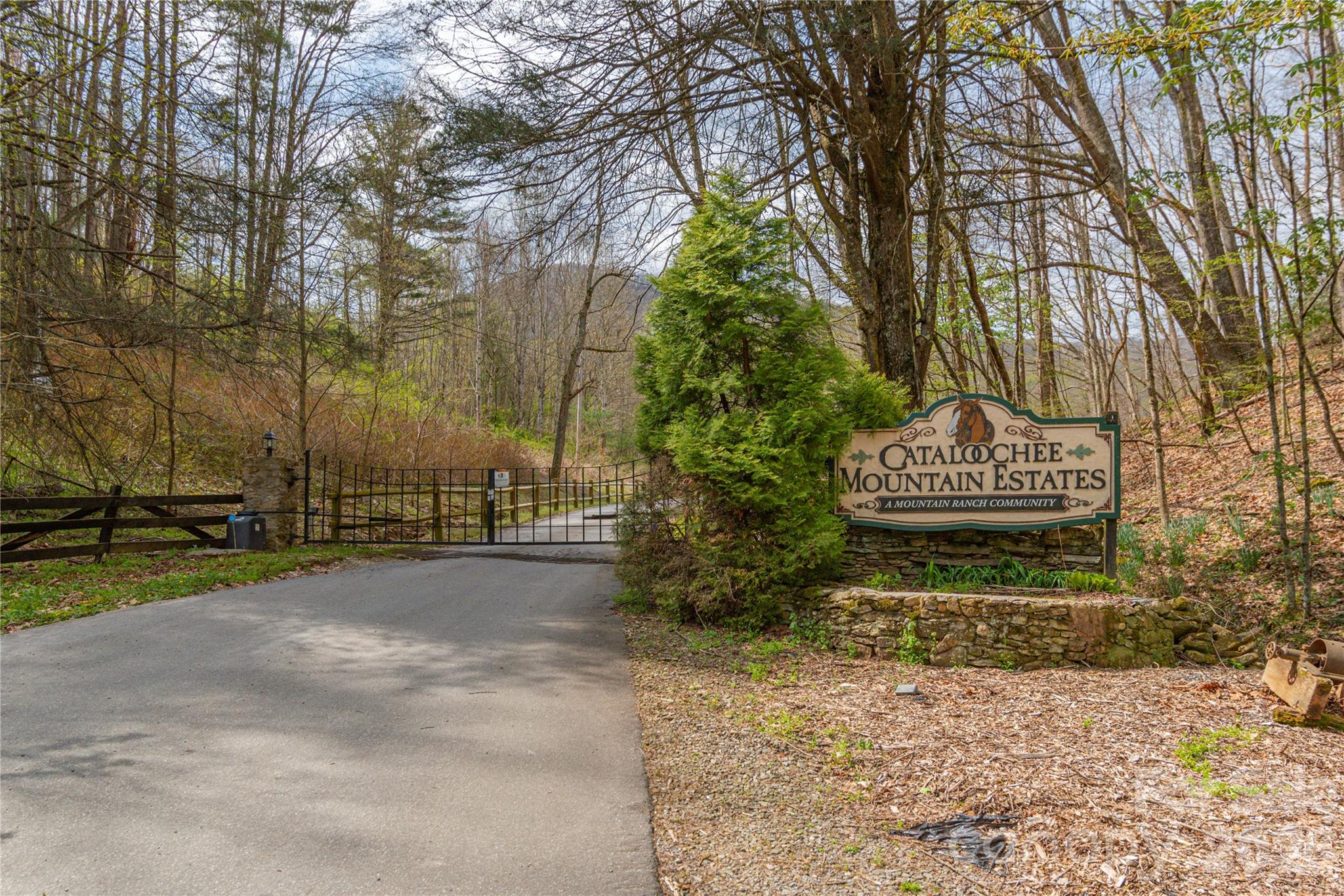 Cataloochee Mountain Estates - Land