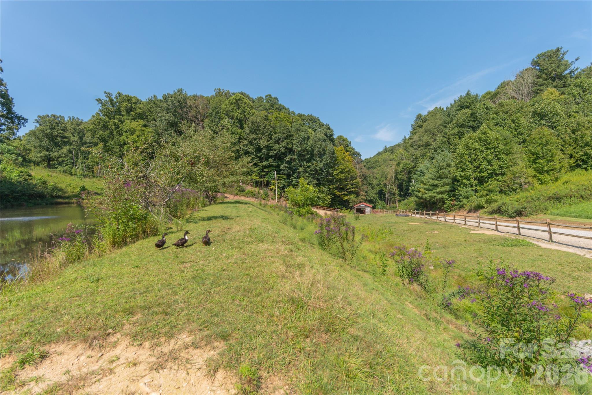 Cataloochee Mountain Estates - Land