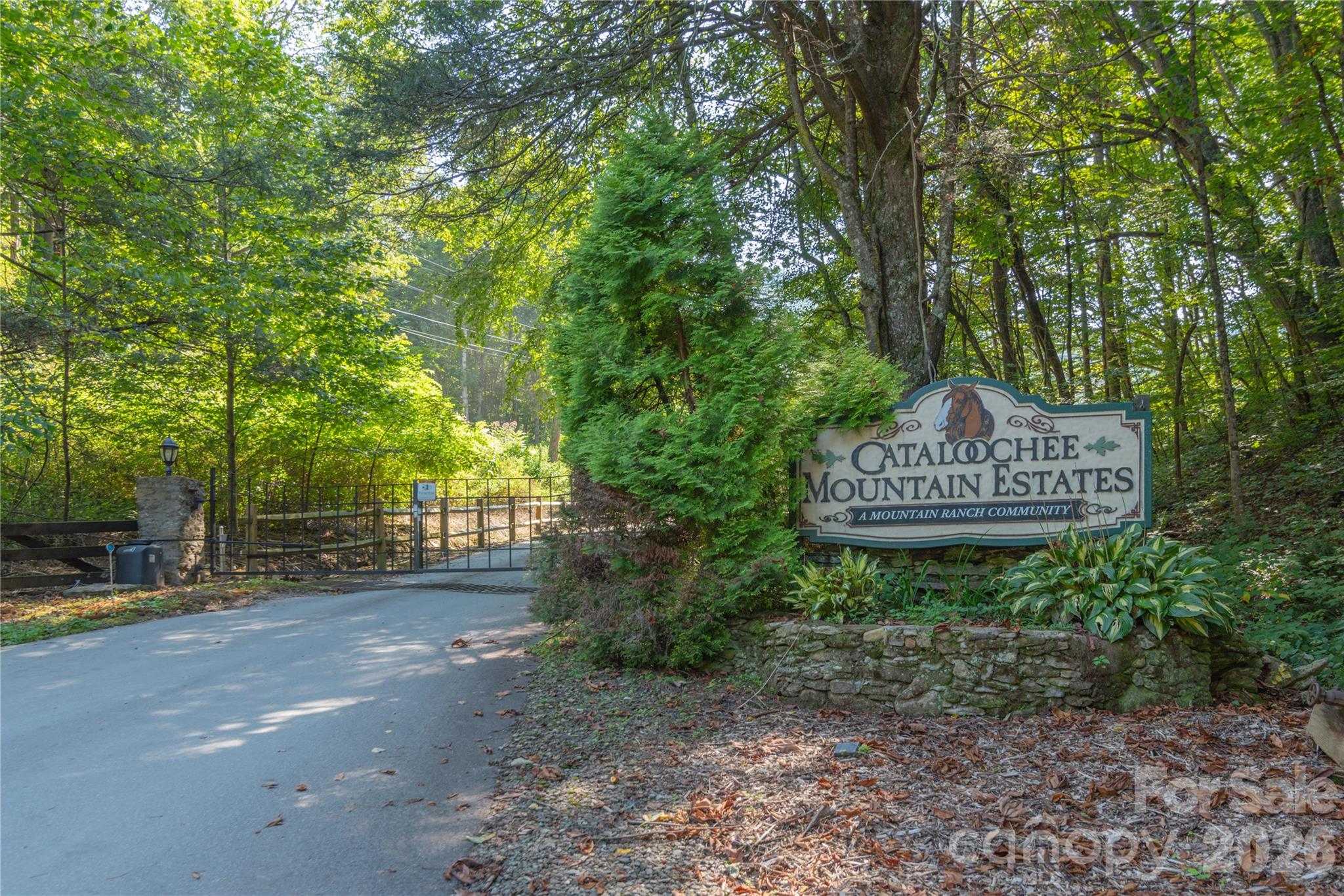 Cataloochee Mountain Estates - Land