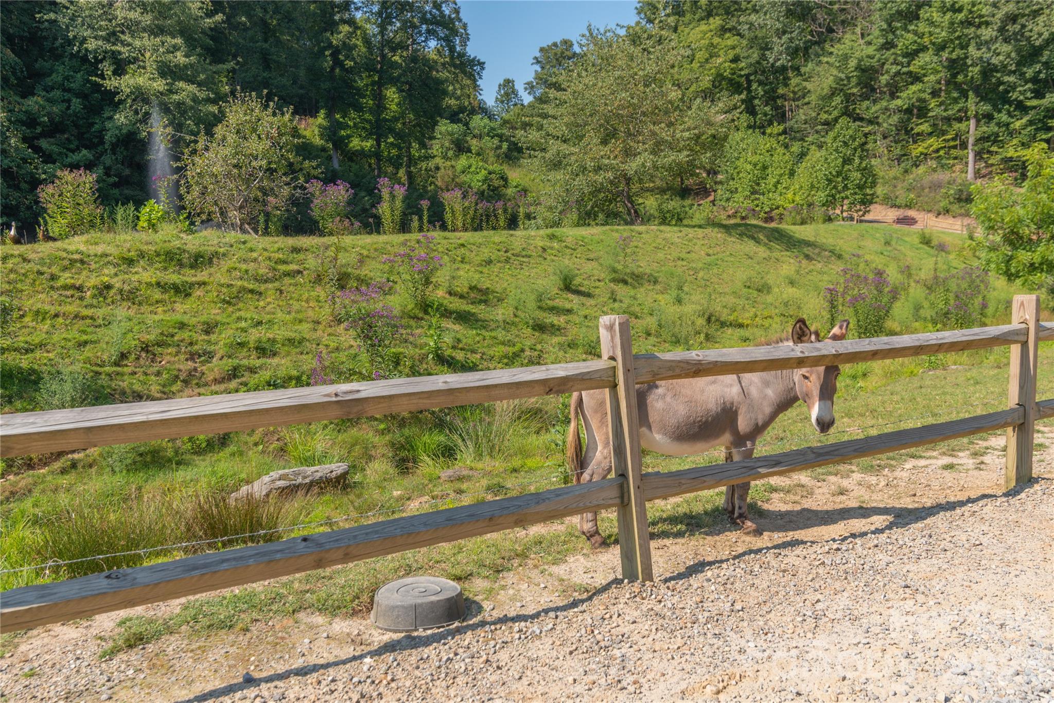 Cataloochee Mountain Estates - Land