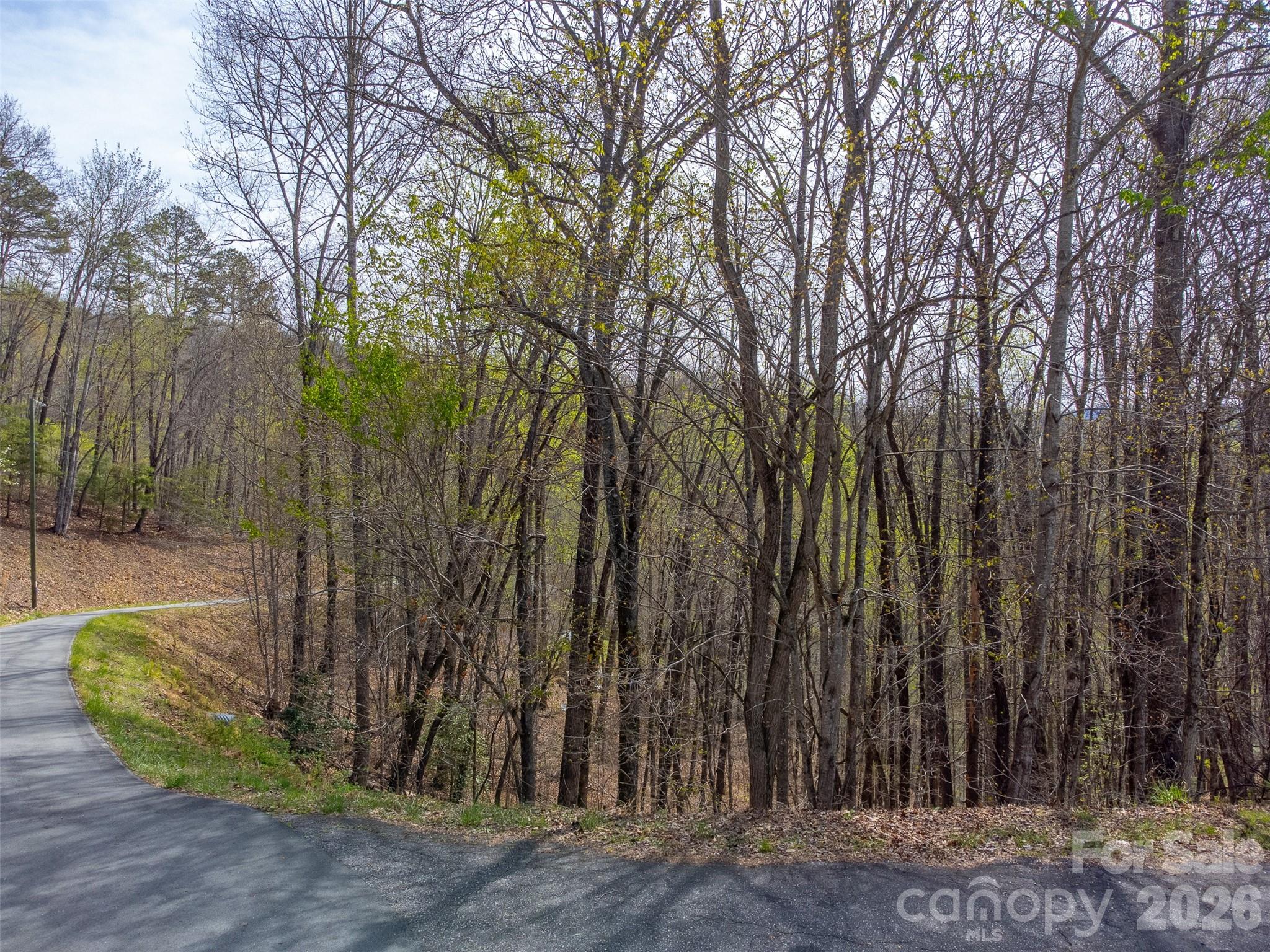 Fontana Lake Properties - Residential