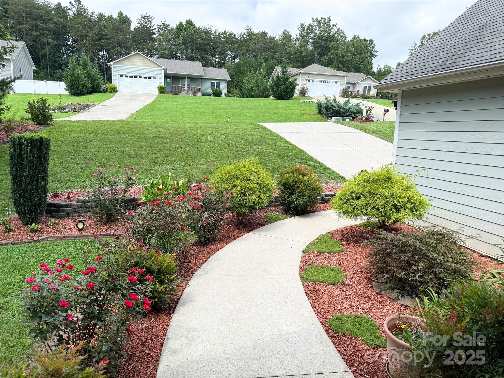 Belmont - Residential