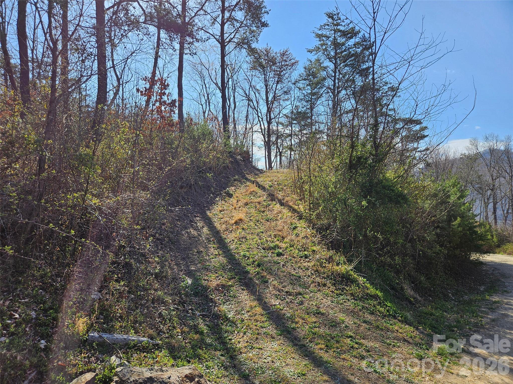 The Summit Of Asheville - Land