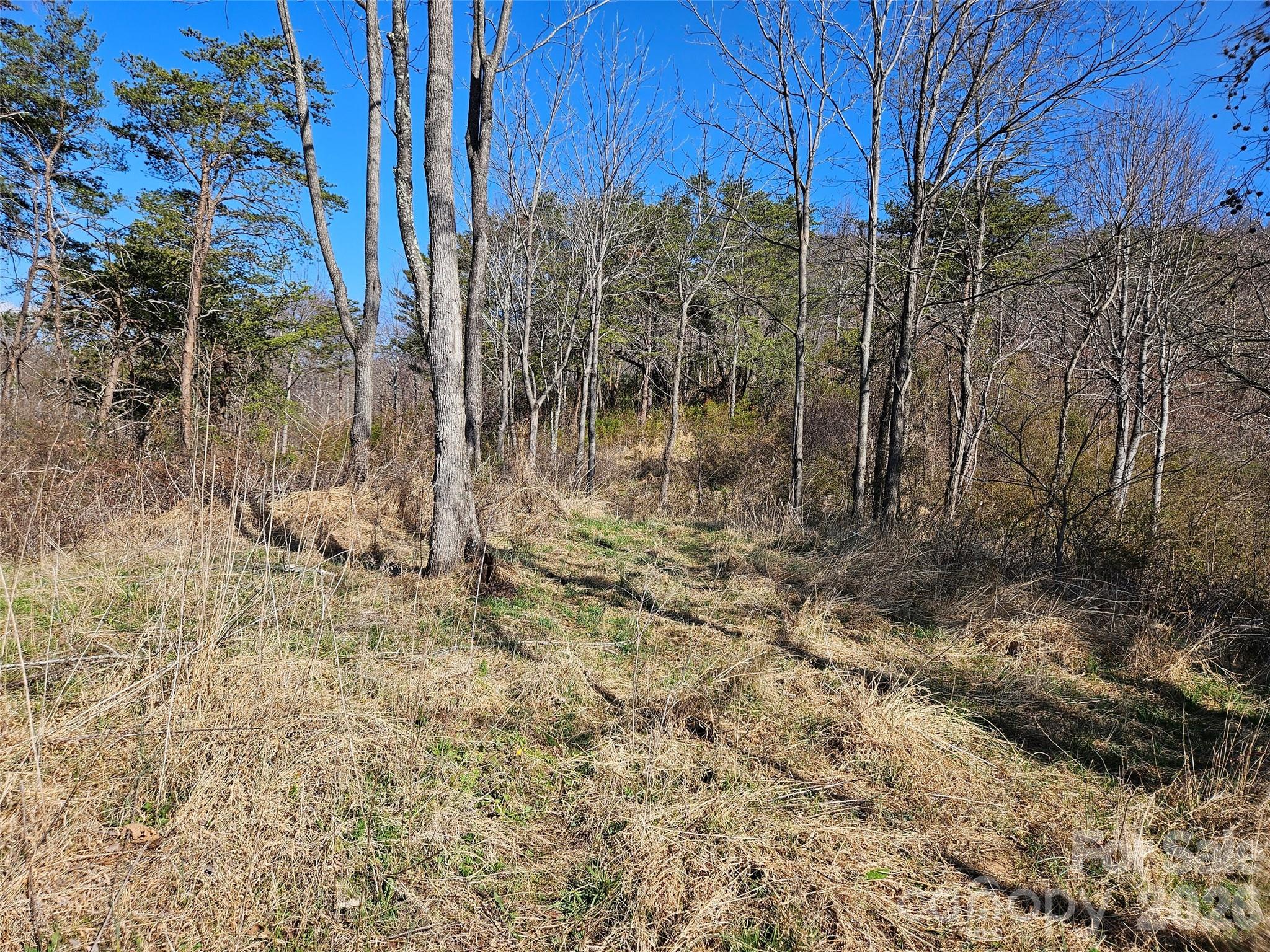 The Summit Of Asheville - Land