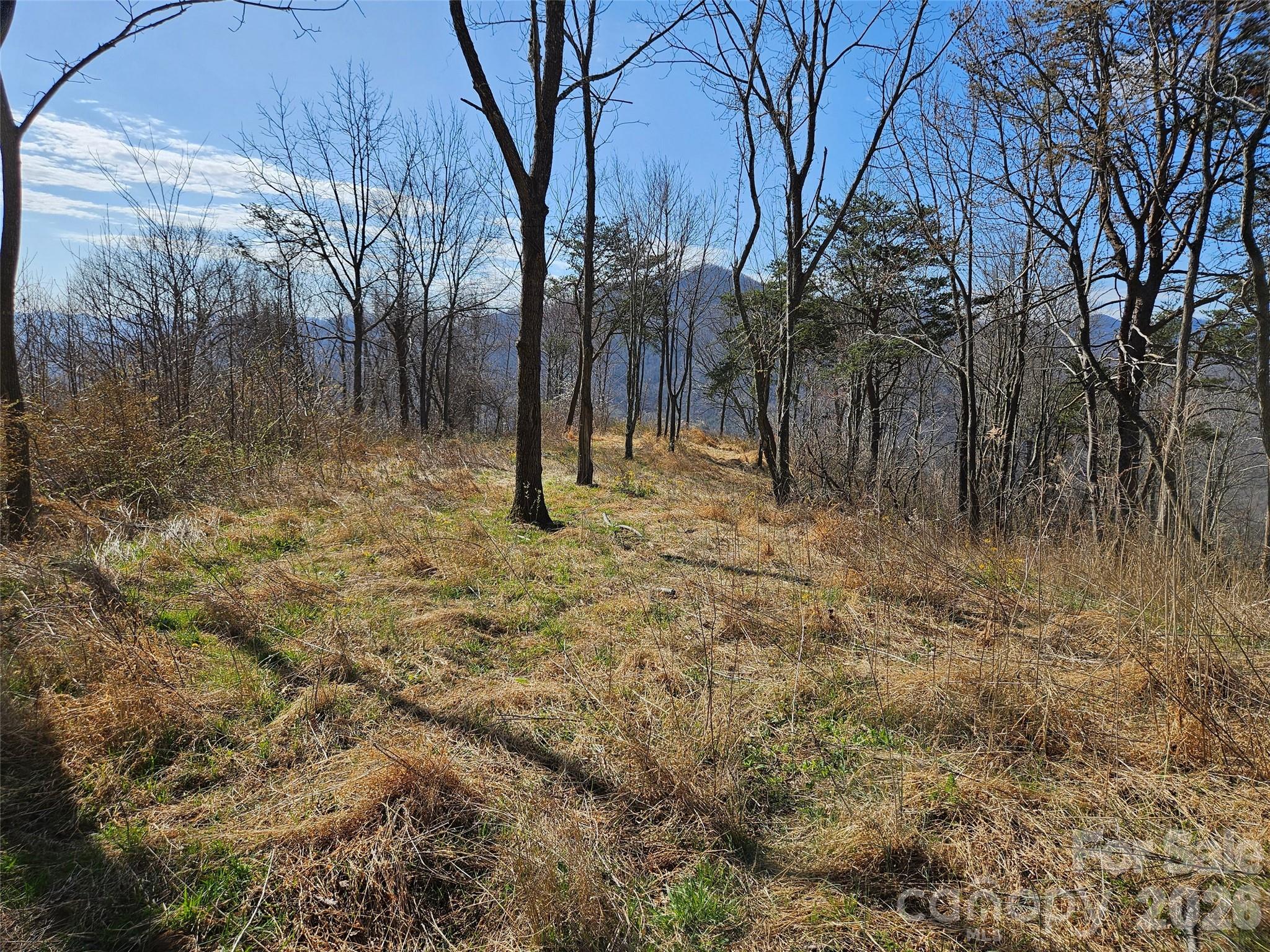 The Summit Of Asheville - Land