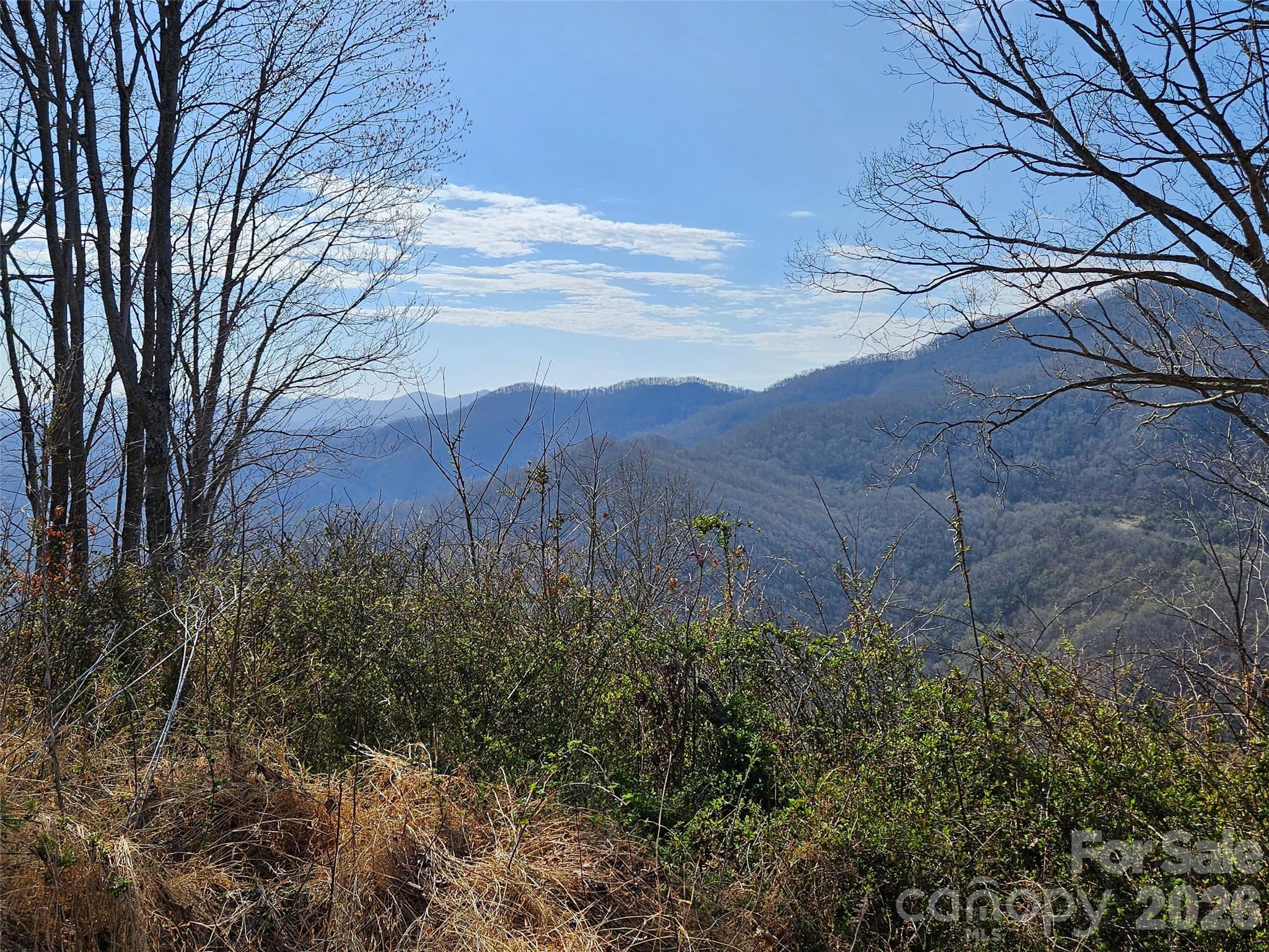 The Summit Of Asheville - Land