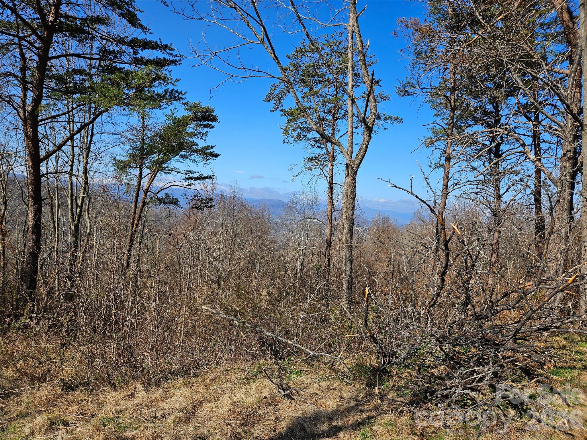 The Summit Of Asheville - Land