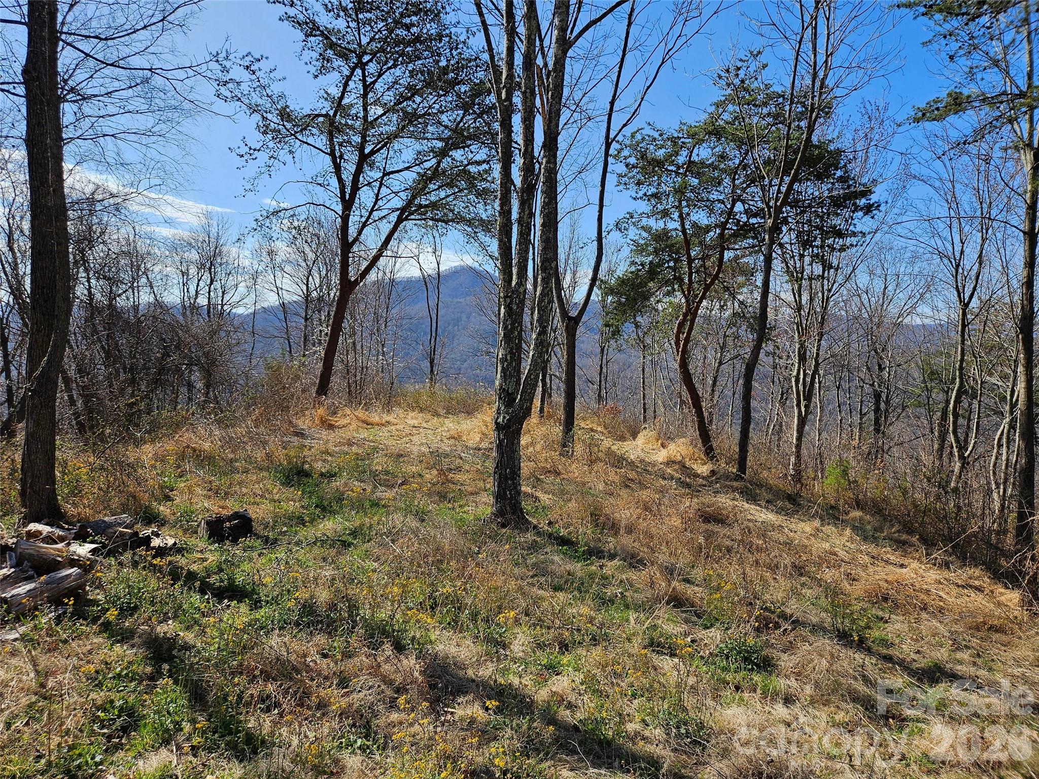 The Summit Of Asheville - Land