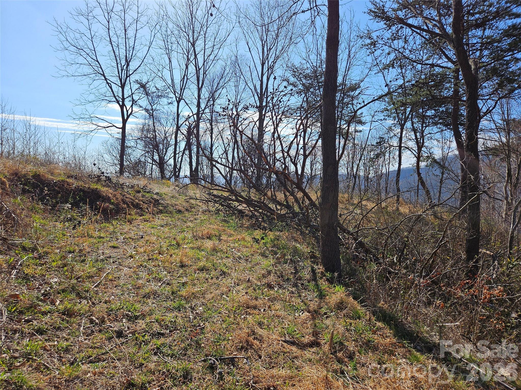 The Summit Of Asheville - Land