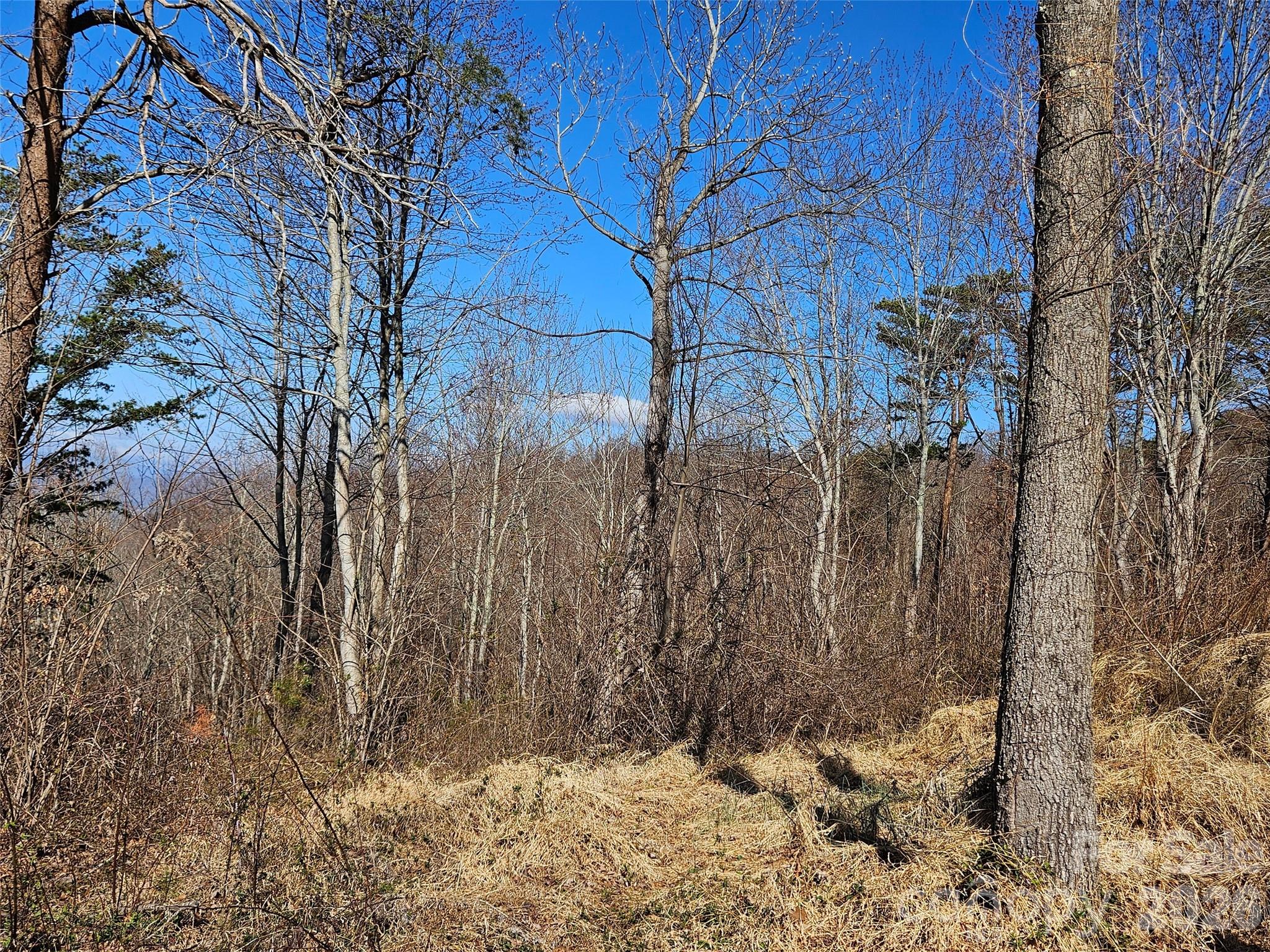 The Summit Of Asheville - Land