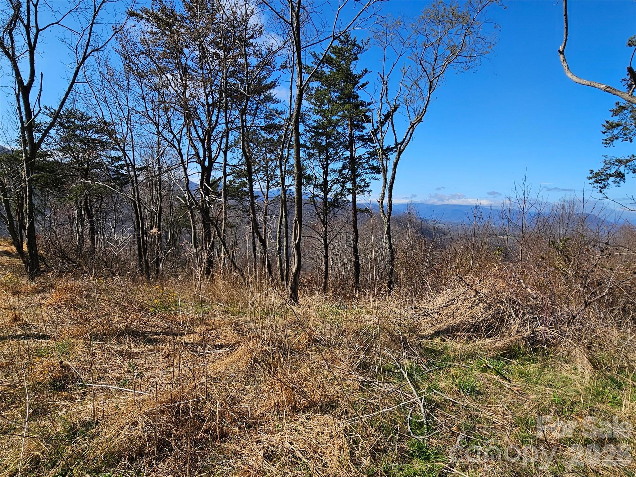 The Summit Of Asheville - Land